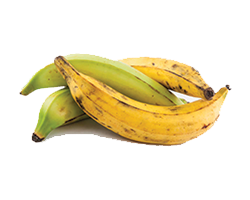 YELLOW BANANA FOR COOKING 1PC
